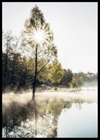 Sunshine through deciduous trees by a lake with fog and reflections-6