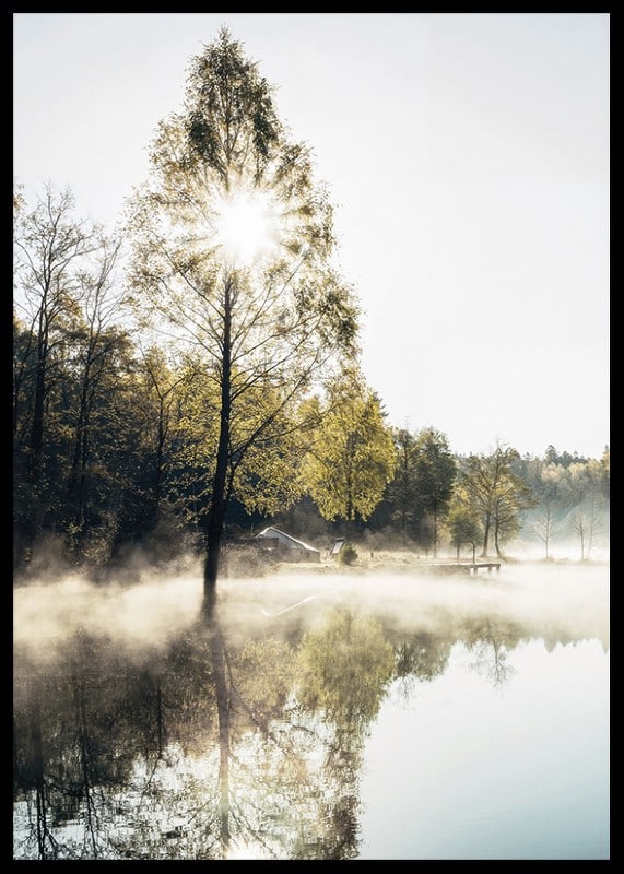 Sunshine through deciduous trees by a lake with fog and reflections-12