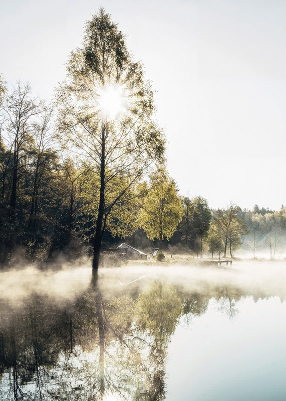 Sunshine through deciduous trees by a lake with fog and reflections-12