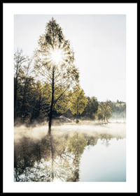Sunshine through deciduous trees by a lake with fog and reflections-0