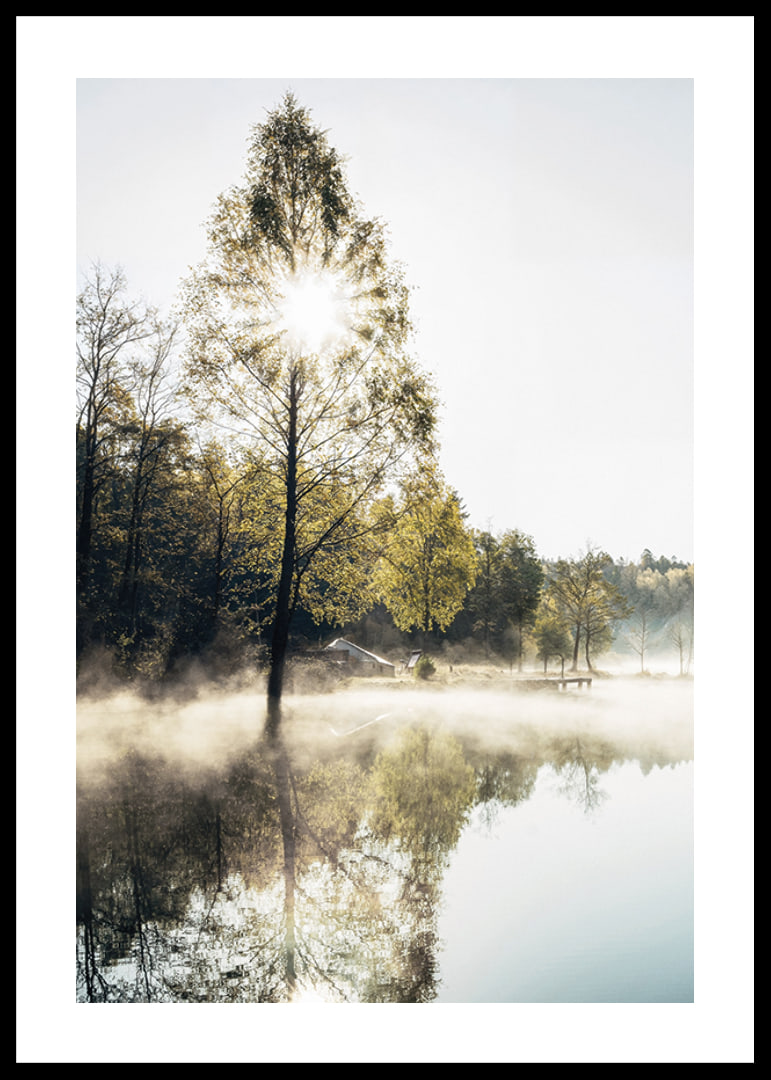 Sunshine through deciduous trees by a lake with fog and reflections-12