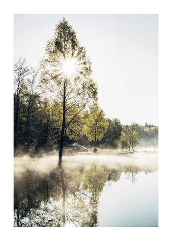 Poster Lake At Sunrise
