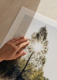 Sunshine through deciduous trees by a lake with fog and reflections-9
