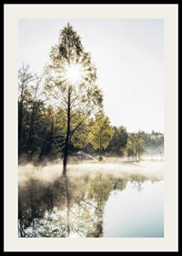 Sunshine through deciduous trees by a lake with fog and reflections-2