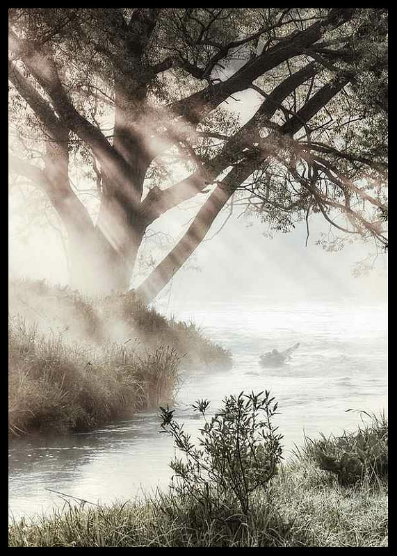 Foggy Dawn-12