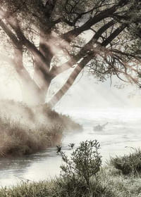 Foggy Dawn-3