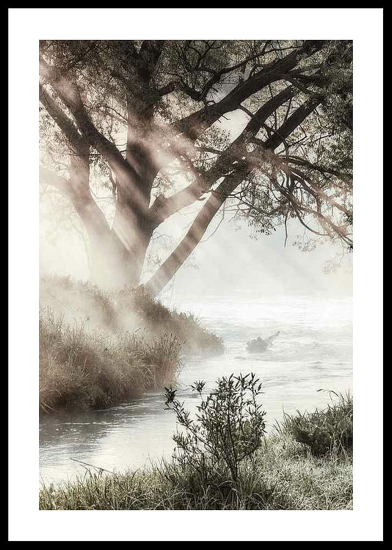Foggy Dawn-12