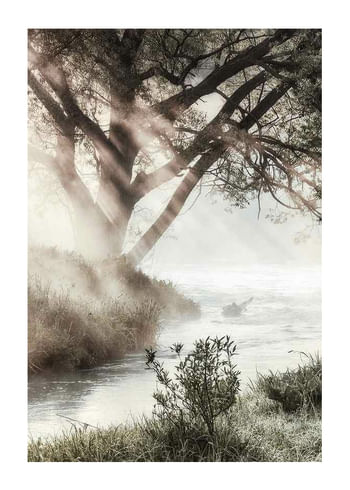 Poster Foggy Dawn