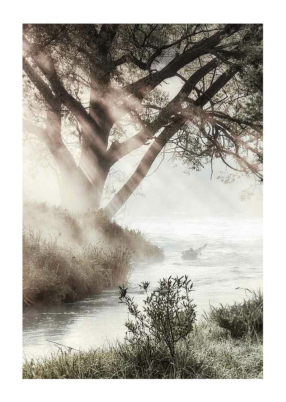 Plagát Foggy Dawn