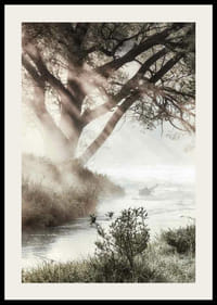 Foto van bomen bij een mistige beek in het ochtendlicht-2