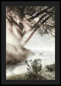 Foto van bomen bij een mistige beek in het ochtendlicht-4