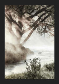 Foto van bomen bij een mistige beek in het ochtendlicht-5