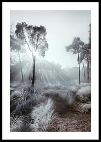 Winter Sunrays-0