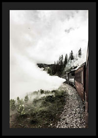 Fotografi af damplokomotiv, der kører gennem en skov med kraftig røg-4