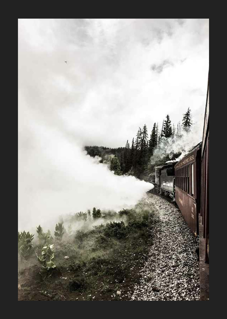 Fotografi af damplokomotiv, der kører gennem en skov med kraftig røg-12