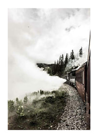 Fotografi af damplokomotiv, der kører gennem en skov med kraftig røg-1