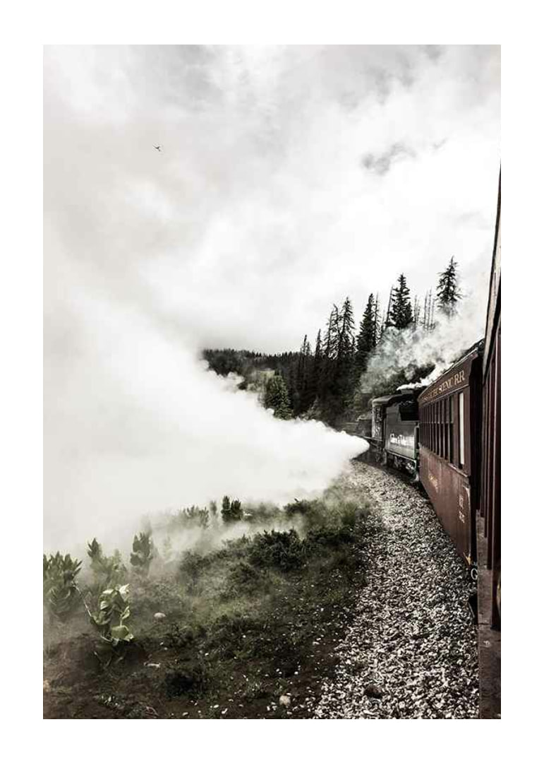 Fotografi af damplokomotiv, der kører gennem en skov med kraftig røg-12