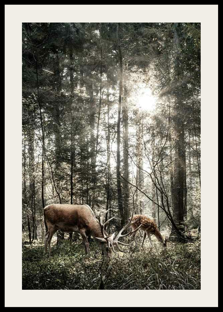 Deux cerfs en contre-jour dans une forêt verte avec des rayons de soleil-12