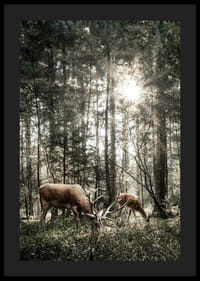 Deux cerfs en contre-jour dans une forêt verte avec des rayons de soleil-4