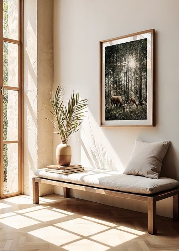 Deer In Sunlight-12