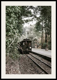 Fotografi av gammalt tåg på skogsomgiven järnväg i dämpade färger-2