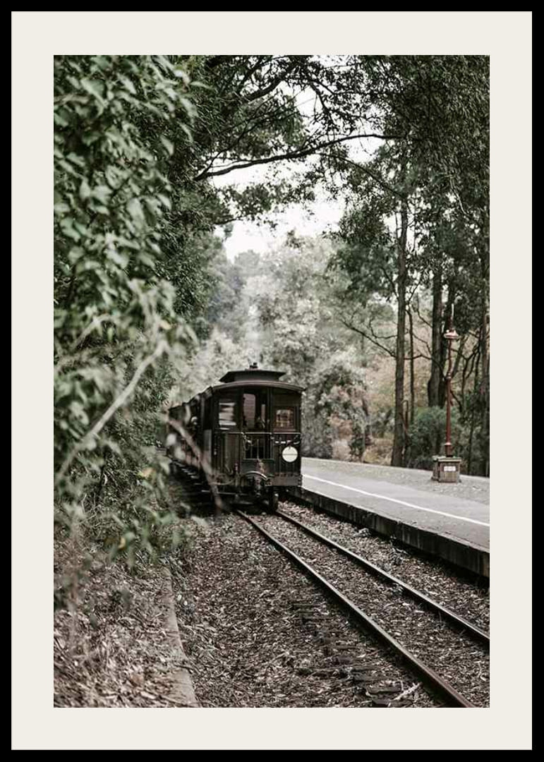 Fotografi av gammalt tåg på skogsomgiven järnväg i dämpade färger-12