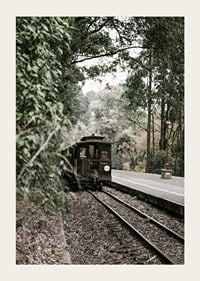 Photograph of old train on forested railway in muted colors-3
