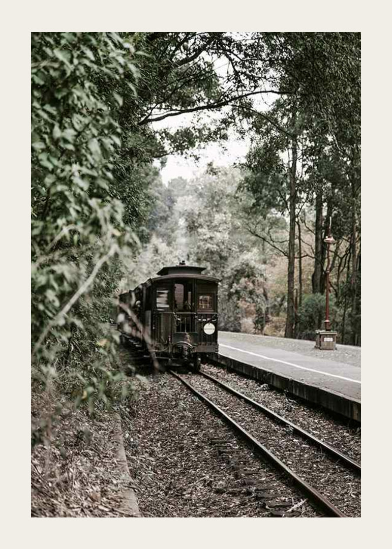 Photograph of old train on forested railway in muted colors-12