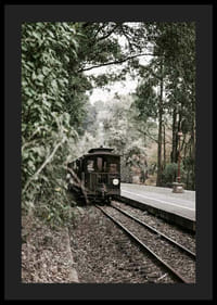Fotografi av gammalt tåg på skogsomgiven järnväg i dämpade färger-4