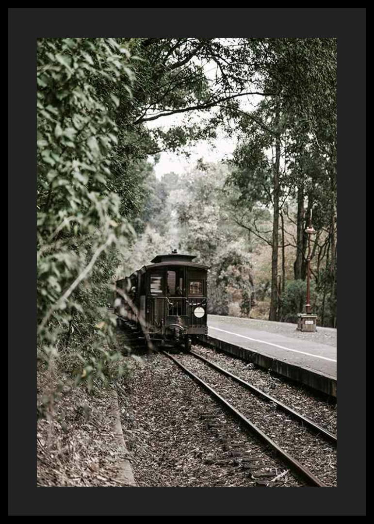 Fotografi av gammalt tåg på skogsomgiven järnväg i dämpade färger-12