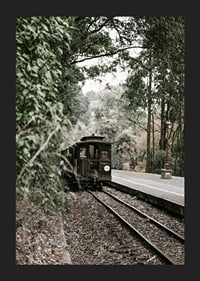 Photograph of old train on forested railway in muted colors-5