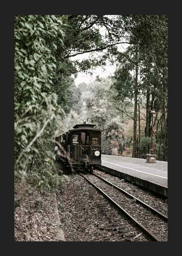 Photograph of old train on forested railway in muted colors-12