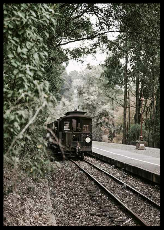 Photograph of old train on forested railway in muted colors-12
