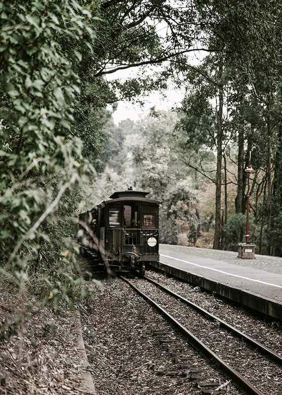 Photograph of old train on forested railway in muted colors-12