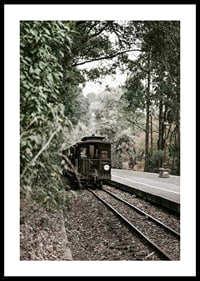 Photograph of old train on forested railway in muted colors-0