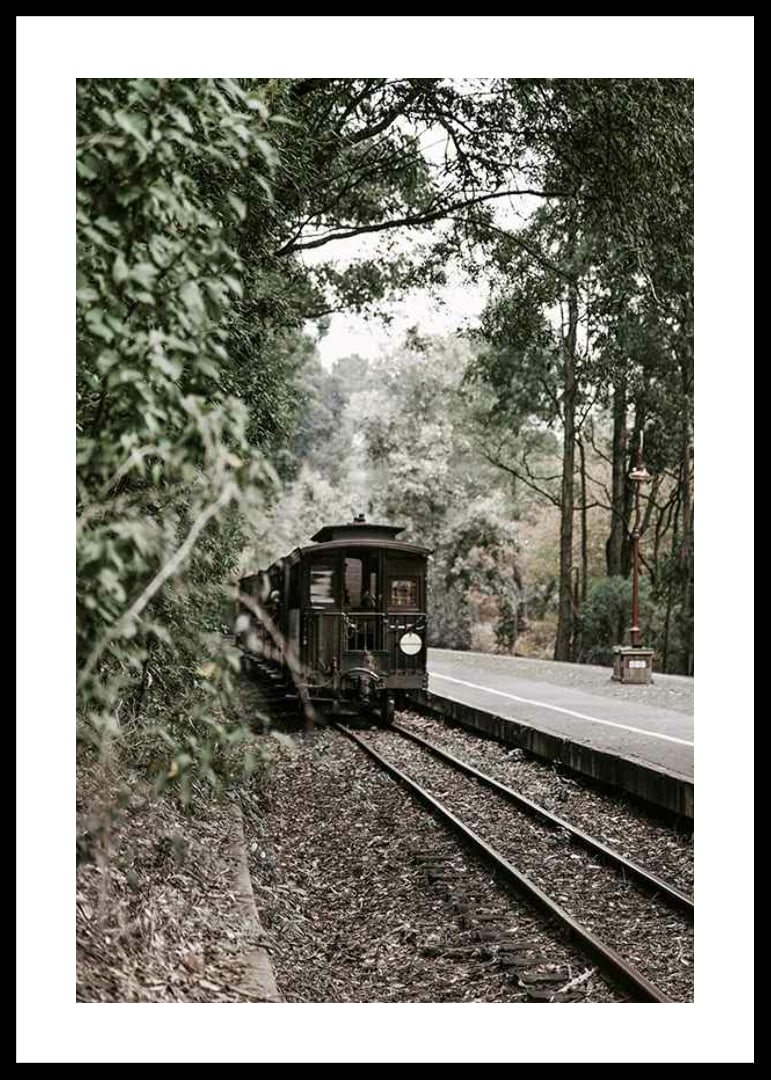 Photograph of old train on forested railway in muted colors-12