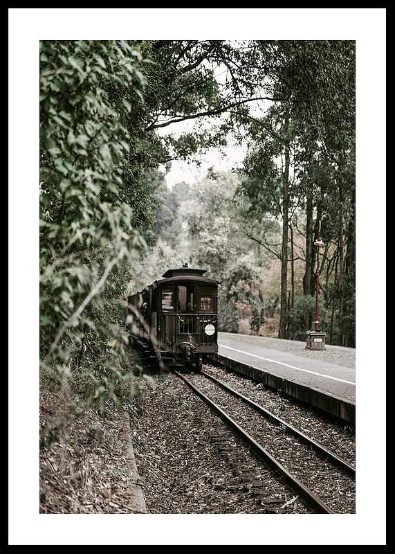 Train By Railroad-12