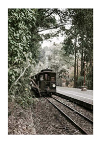 Photograph of old train on forested railway in muted colors-1
