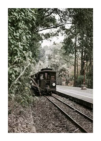Poster Train By Railroad