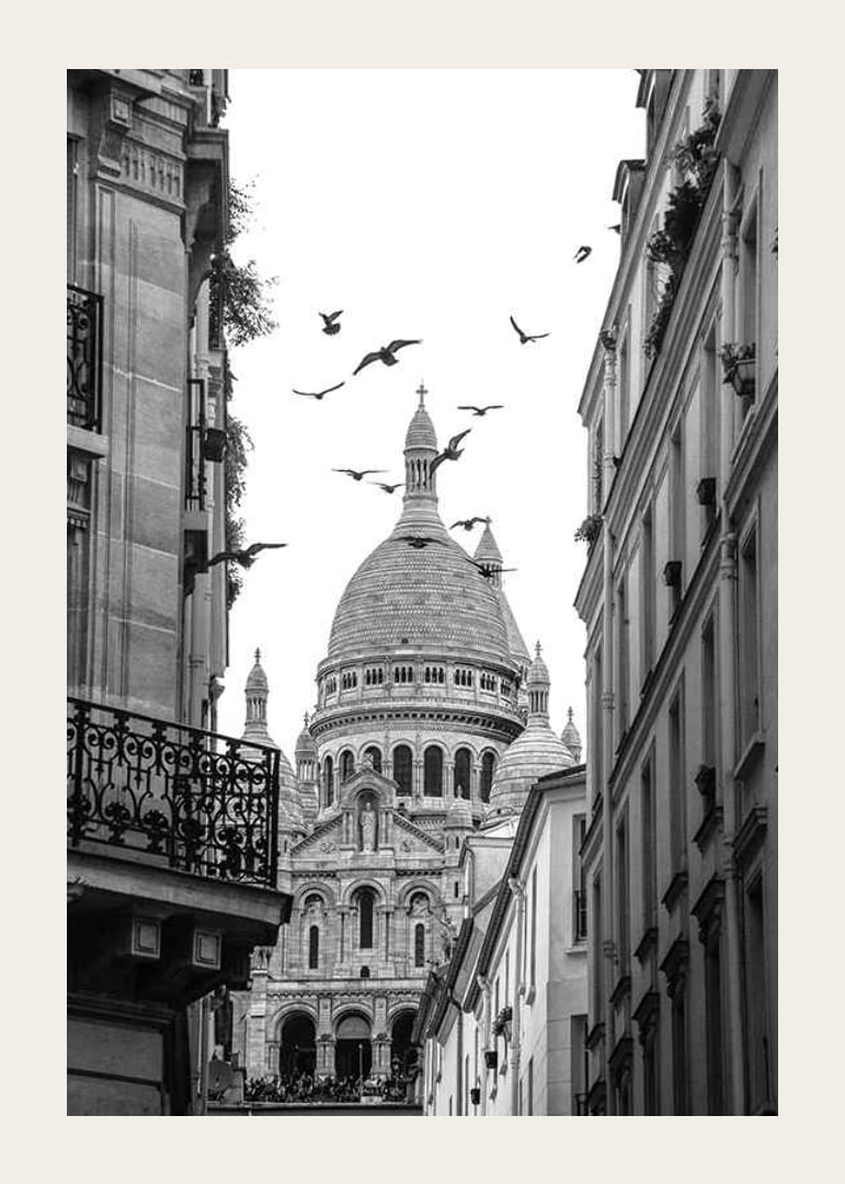 Black and white photo of Sacré-Cœur with flying pigeons in Montmartre-12