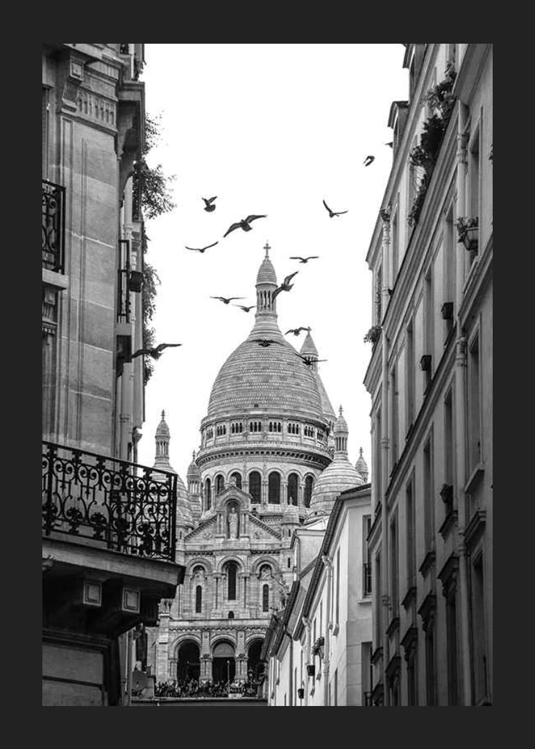 Black and white photo of Sacré-Cœur with flying pigeons in Montmartre-12
