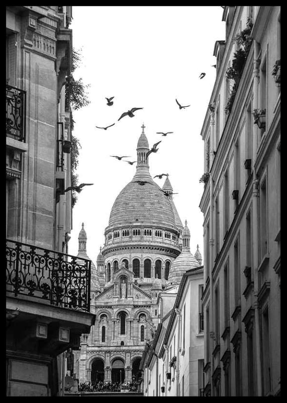 Black and white photo of Sacré-Cœur with flying pigeons in Montmartre-12
