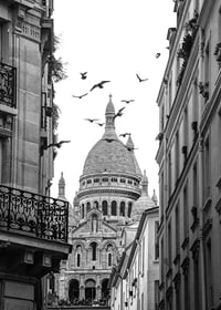 Black and white photo of Sacré-Cœur with flying pigeons in Montmartre-7