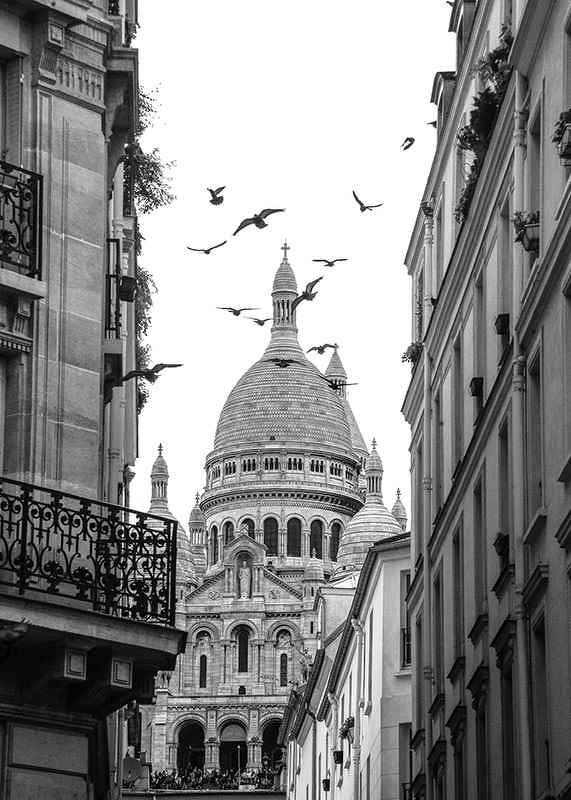 Black and white photo of Sacré-Cœur with flying pigeons in Montmartre-12