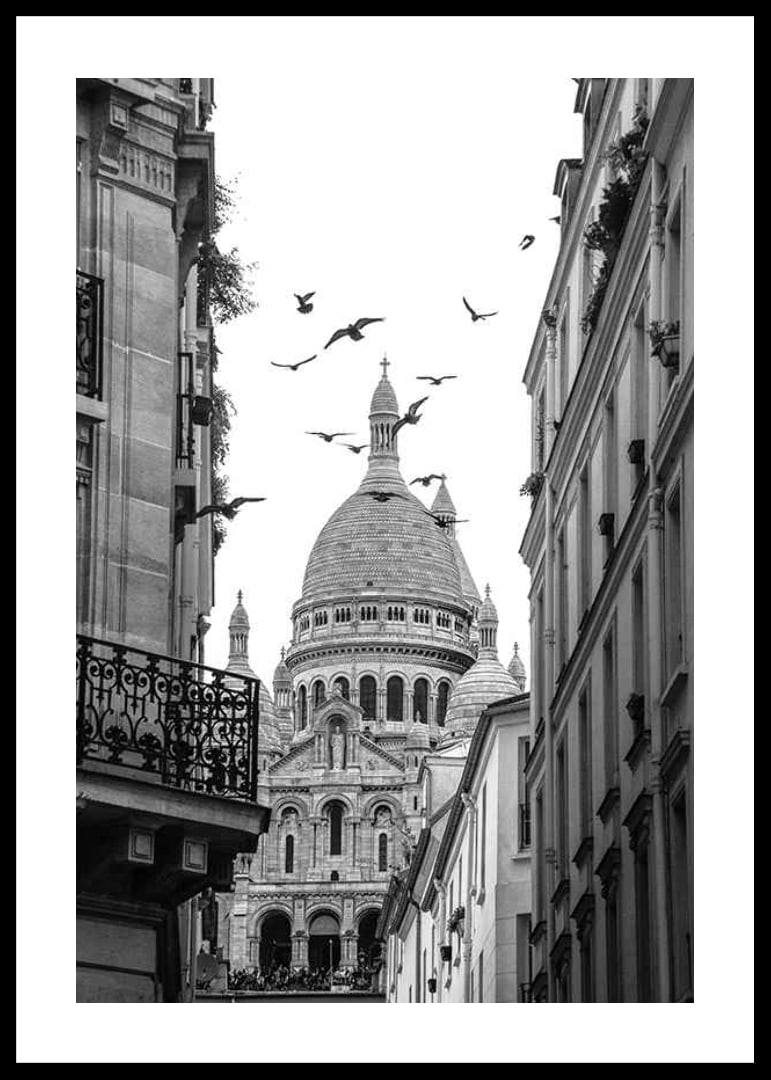 Black and white photo of Sacré-Cœur with flying pigeons in Montmartre-12
