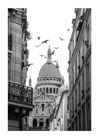 Black and white photo of Sacré-Cœur with flying pigeons in Montmartre-1