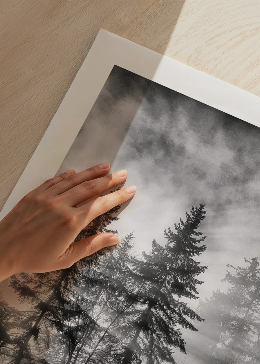 Photographie en noir et blanc d'une forêt d'épicéas avec brouillard et rayons de soleil-12
