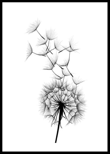 Plagát Dandelion Wish