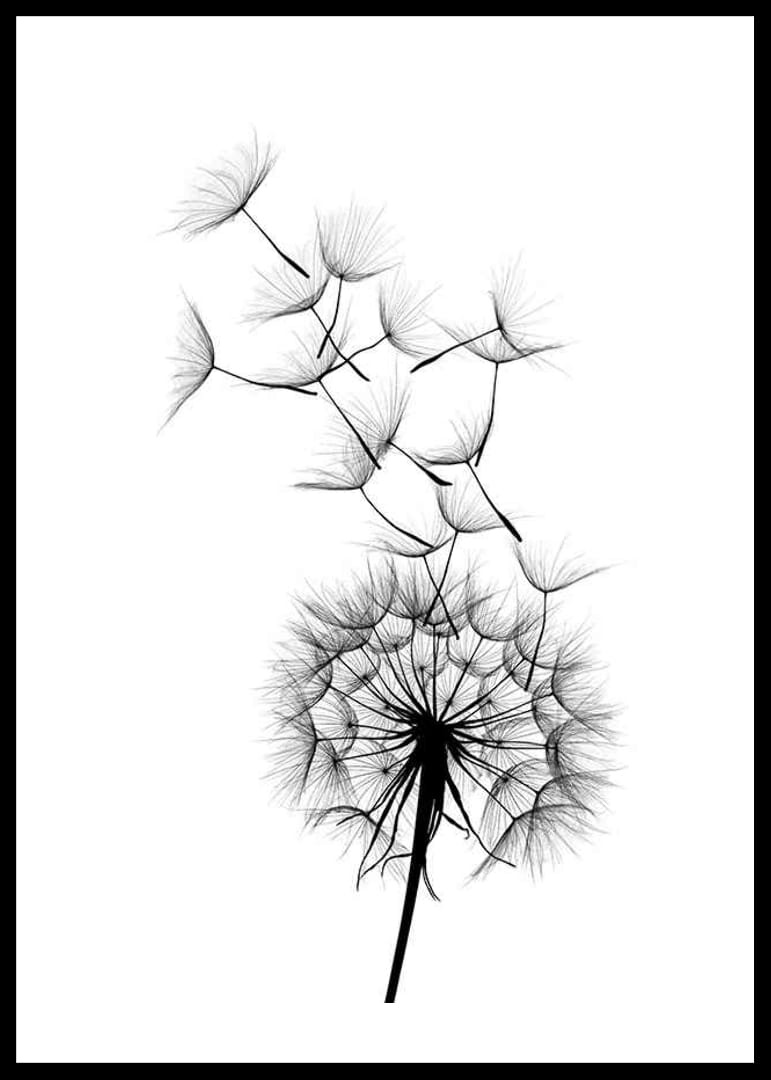 Dandelion Wish Poster | Botaniskt | Gallerix.se