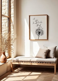 Black and white illustration of dandelion seeds in close-up against white background-8